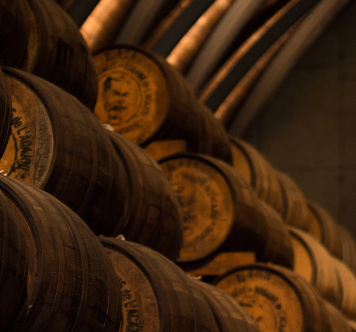 Oak casks stacked in the warehouse at Hacienda San Isidro